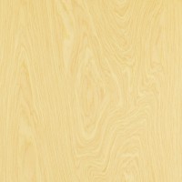 Nordics Polaris Pine